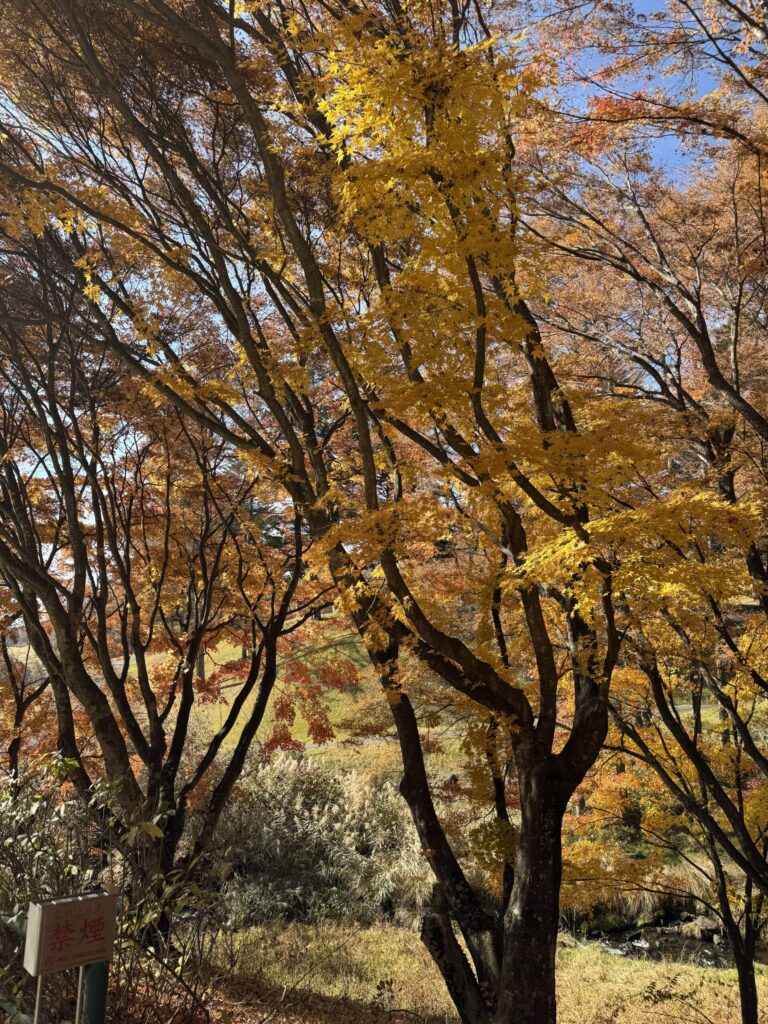 季節ごとに変化するゴルフ環境の中でスイングするゴルファーを描いた春夏秋冬のイメージ画像